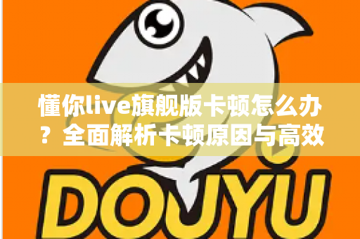懂你live旗舰版卡顿怎么办？全面解析卡顿原因与高效解决方法大全