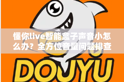 懂你live智能盒子声音小怎么办？全方位音量问题排查与解决指南