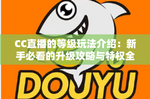 CC直播的等级玩法介绍：新手必看的升级攻略与特权全解析