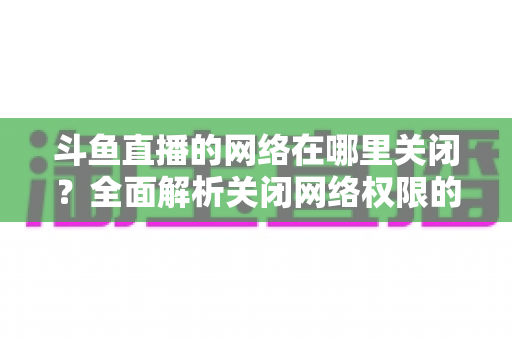 斗鱼直播的网络在哪里关闭？全面解析关闭网络权限的详细步骤与实用技巧