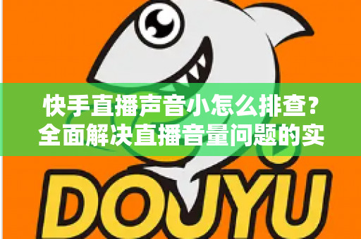 快手直播声音小怎么排查？全面解决直播音量问题的实用指南