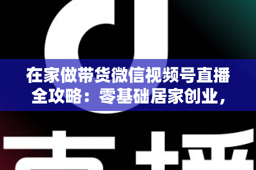 在家做带货微信视频号直播全攻略：零基础居家创业，一部手机开启副业变现之路