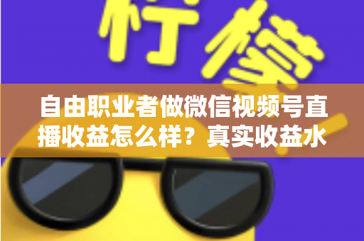 自由职业者做微信视频号直播收益怎么样?真实收益水平、变现方式与实战建议全解析 自由职业者做微信视频号直播收益怎么样?真实收益水平、变现方式与实战建议全解析