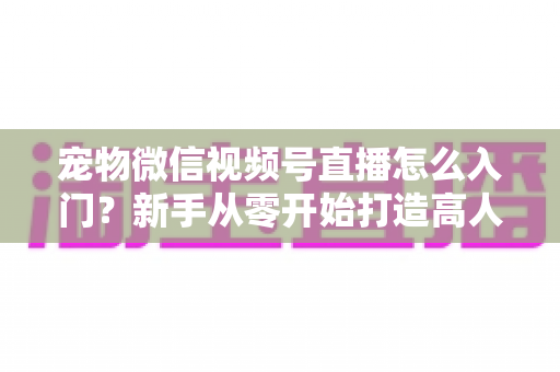 宠物微信视频号直播怎么入门？新手从零开始打造高人气宠物直播间的完整攻略