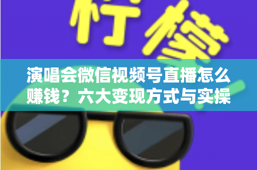 演唱会微信视频号直播怎么赚钱？六大变现方式与实操指南全面解析