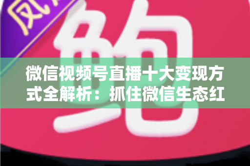 微信视频号直播十大变现方式全解析:抓住微信生态红利,普通人也能靠直播赚钱的实战指南 微信视频号直播十大变现方式全解析:抓住微信生态红利,普通人也能靠直播赚钱的实战指南