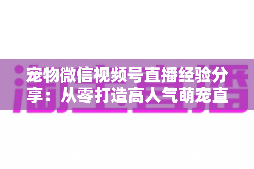 宠物微信视频号直播经验分享:从零打造高人气萌宠直播间的实战心得 宠物微信视频号直播经验分享:从零打造高人气萌宠直播间的实战心得
