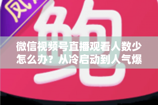 微信视频号直播观看人数少怎么办?从冷启动到人气爆棚的实战指南 微信视频号直播观看人数少怎么办?从冷启动到人气爆棚的实战指南