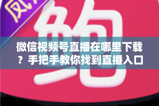 微信视频号直播在哪里下载？手把手教你找到直播入口、观看直播与保存回放的全流程指南