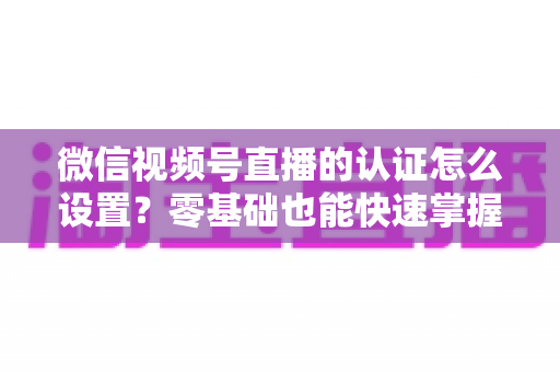 微信视频号直播的认证怎么设置？零基础也能快速掌握的认证全流程指南