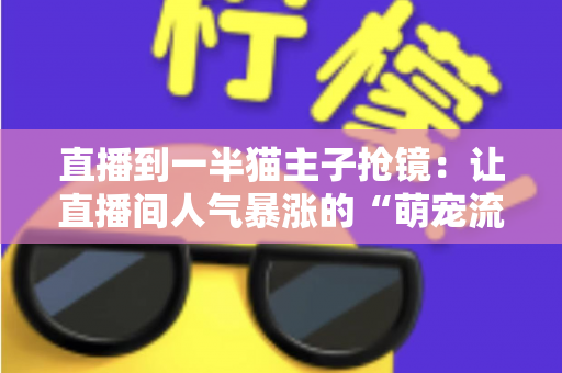 直播到一半猫主子抢镜：让直播间人气暴涨的“萌宠流量密码”与应对全攻略