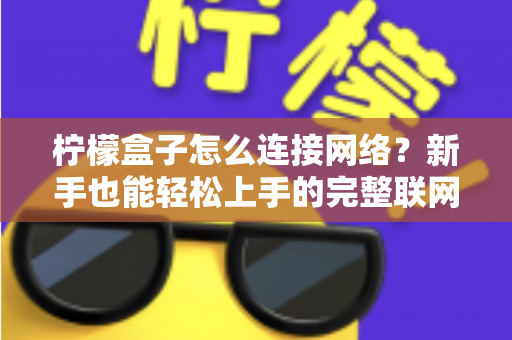 柠檬盒子怎么连接网络？新手也能轻松上手的完整联网攻略与故障排除指南